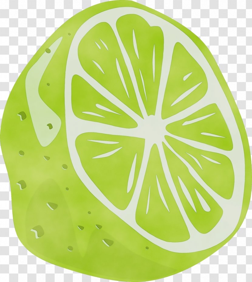 Green Leaf Citrus Plant Clip Art - Paint - Lemon Fruit Transparent PNG