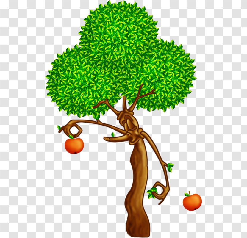 Branch Tree Oak Apples Plant Transparent PNG