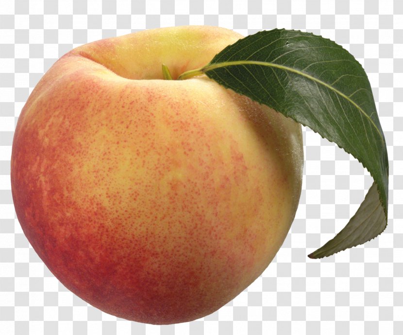 Peach Fruit Clip Art - Pear - Free Download Transparent PNG