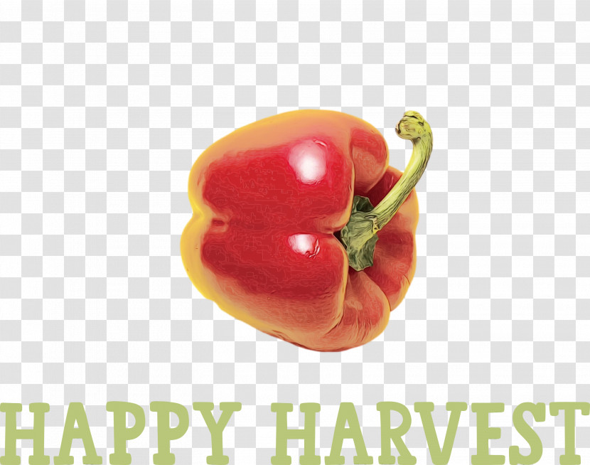 Cayenne Pepper Habanero Natural Food Bell Pepper Chili Pepper Transparent PNG