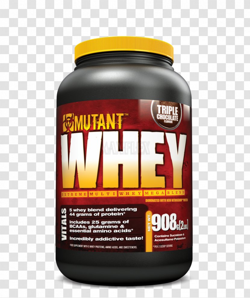 Dietary Supplement Whey Protein Branched-chain Amino Acid Bodybuilding - Ingredient Transparent PNG