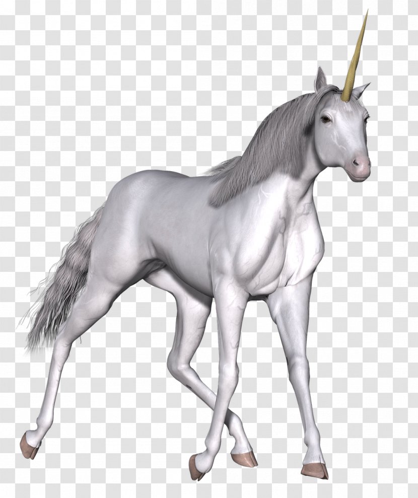 Unicorn Fairy Tale Horse Clip Art - Mustang Transparent PNG