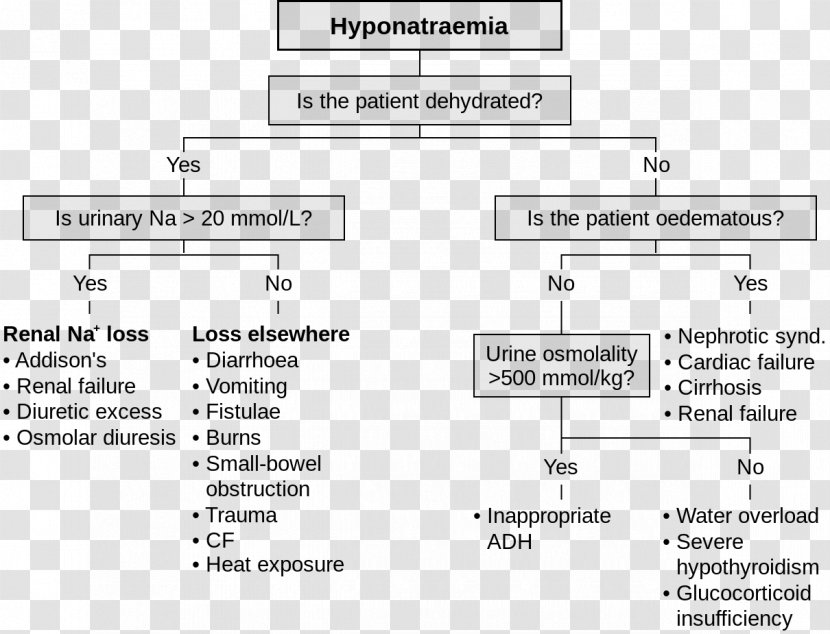Hyponatremia Hypernatremia Hypovolemia Flow Diagram Flowchart - Plot - Reasons Transparent PNG