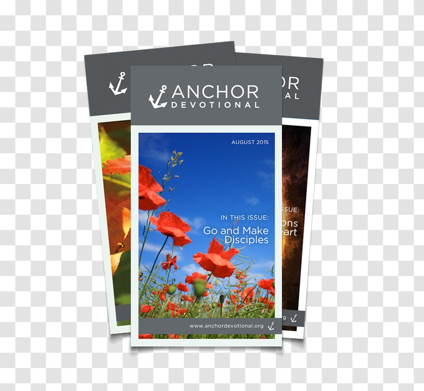Photographic Paper Banner Photography Transparent PNG