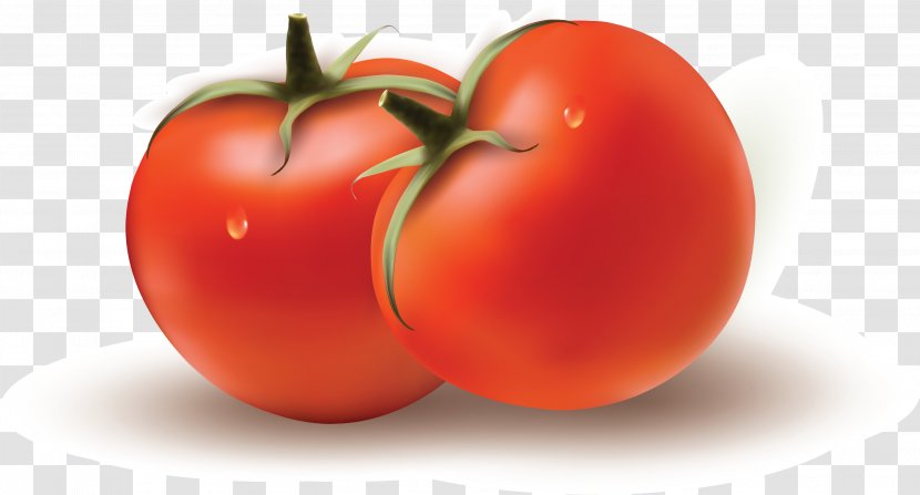 Plum Tomato Bush Vegetable - Natural Foods Transparent PNG