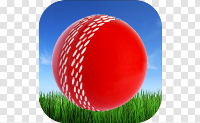 Cricket Balls Gray-Nicolls Batting - Glove Transparent PNG