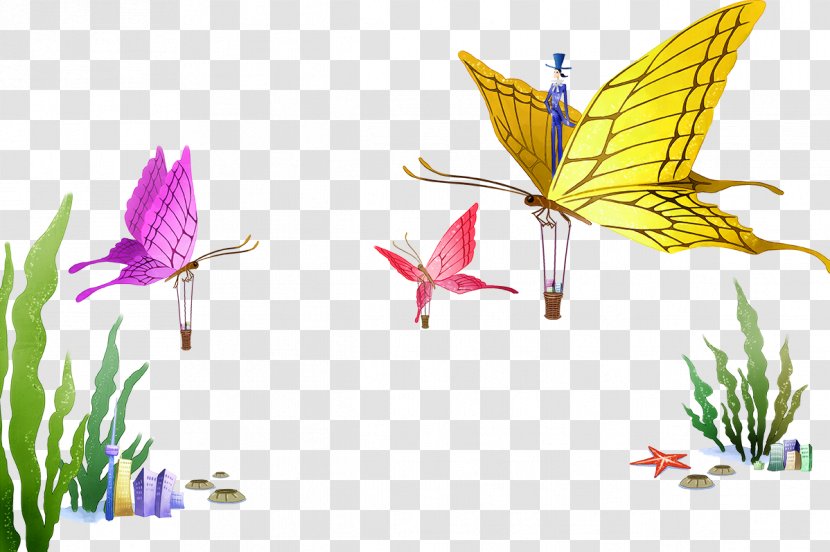 Cartoon Poster Animation Illustration - Organism - Butterfly Transparent PNG