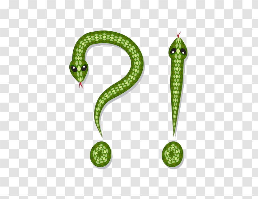 Corn Snake Exclamation Mark Illustration - Question - Cartoon And Transparent PNG