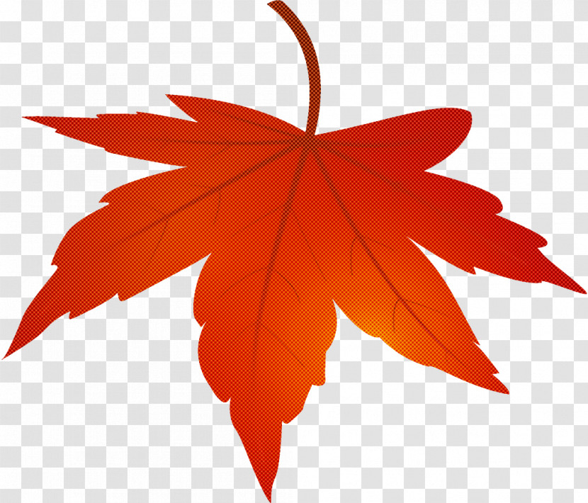 Maple Leaf Autumn Leaf Yellow Leaf Transparent PNG