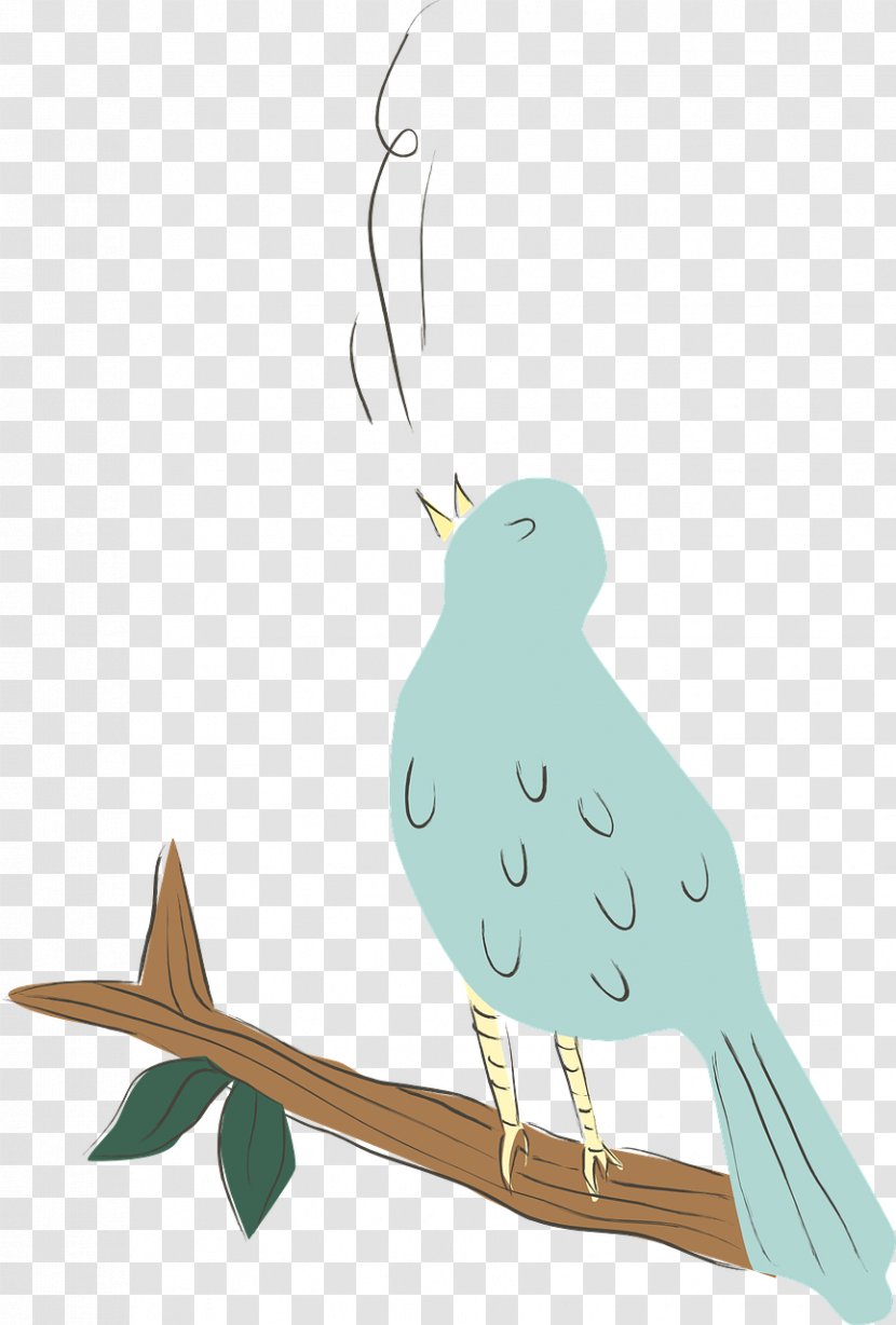 Singing - Poster - Birds Transparent PNG