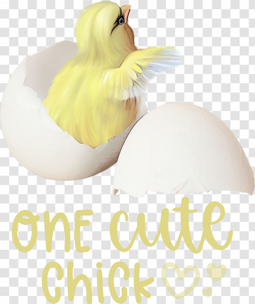 Egg Transparent PNG