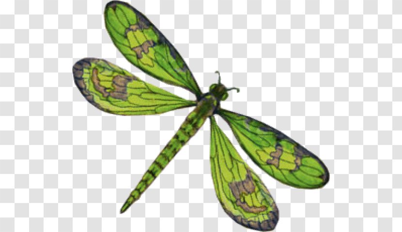 Dragonfly Clip Art - Net Winged Insects Transparent PNG