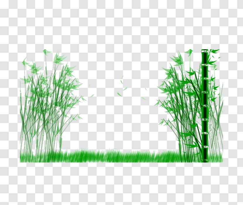 Bamboo Green Bamboe Ink Wash Painting - Fresh Grass Walkway Transparent PNG
