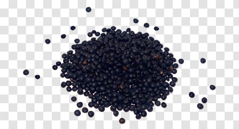 Seed Lentil Fabada Asturiana Lenteja Pardina Common Bean - Superfood - Beluga Caviar Transparent PNG