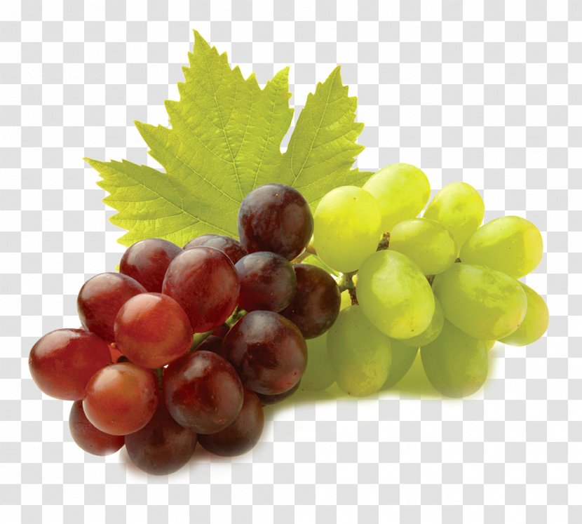 Grape Seed Extract Fruit Grapevines Leaves - Superfood Transparent PNG