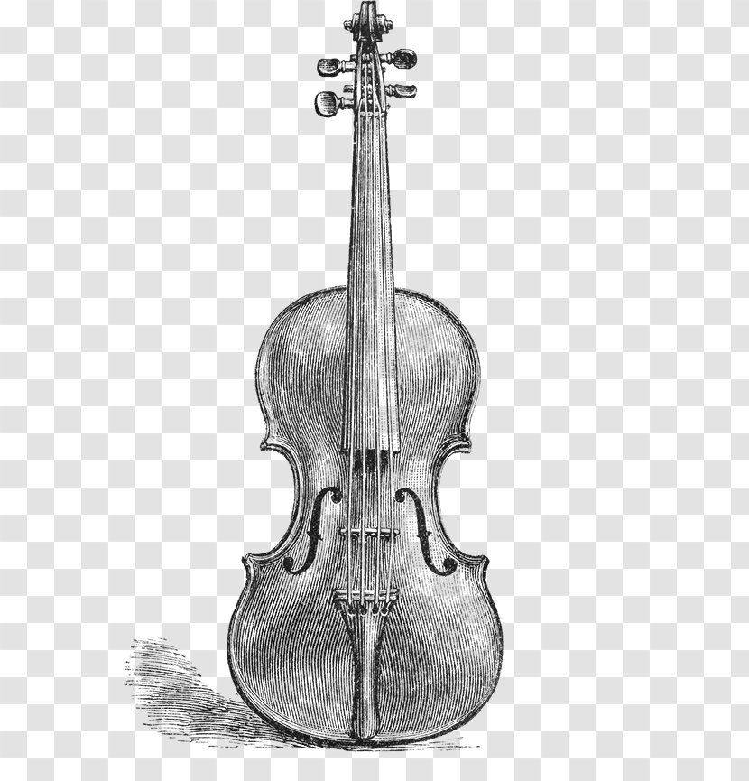 Violin Drawing Illustration Stock Photography Vector Graphics - Bass Transparent PNG