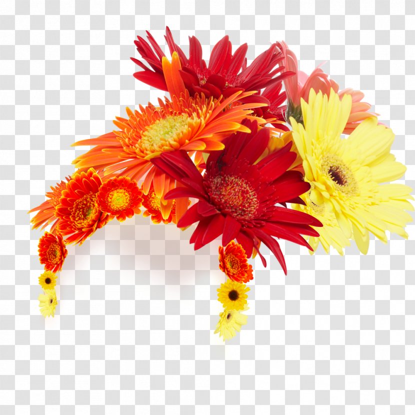 Beauty Love Euclidean Vector Wallpaper - Hair - Gerbera Flower Ornaments Transparent PNG