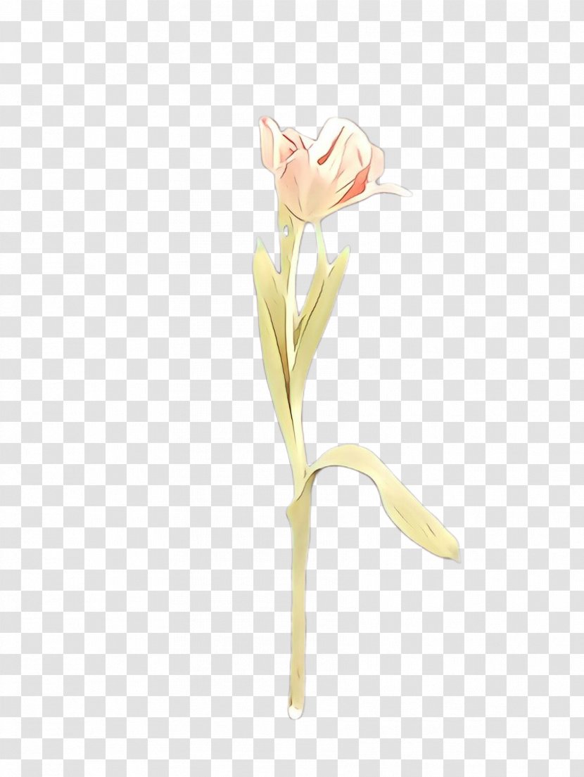 Flower Plant Arum Cut Flowers Pedicel - Bud Tulip Transparent PNG