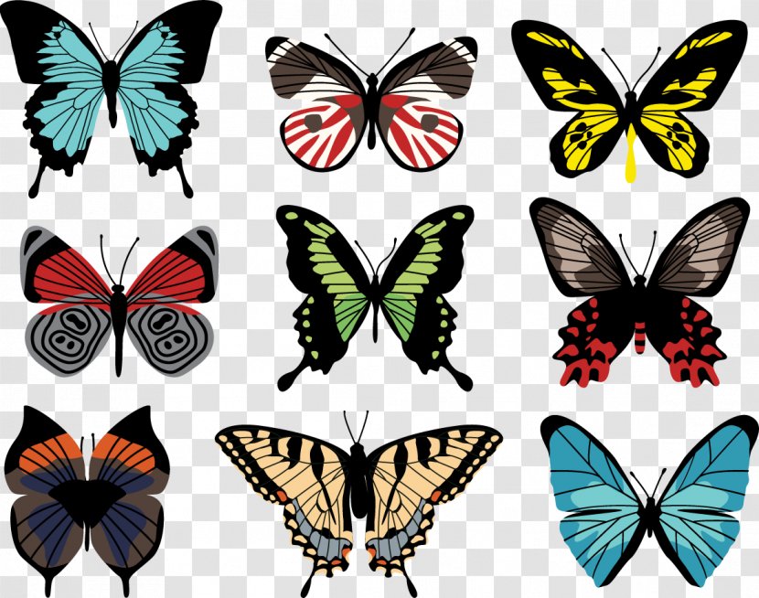 Butterfly Paper - Pollinator Transparent PNG