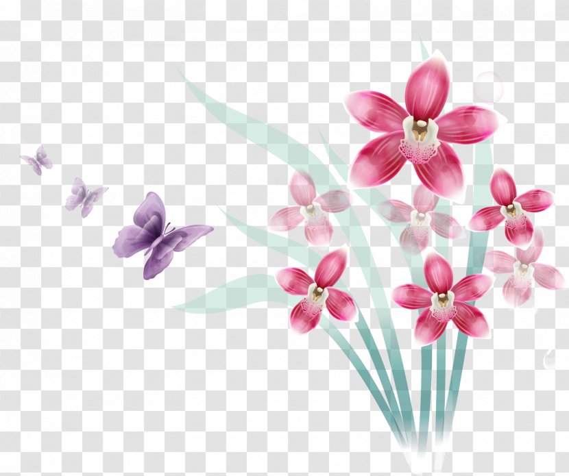Orchids Flower Information - Female Flowers Transparent PNG