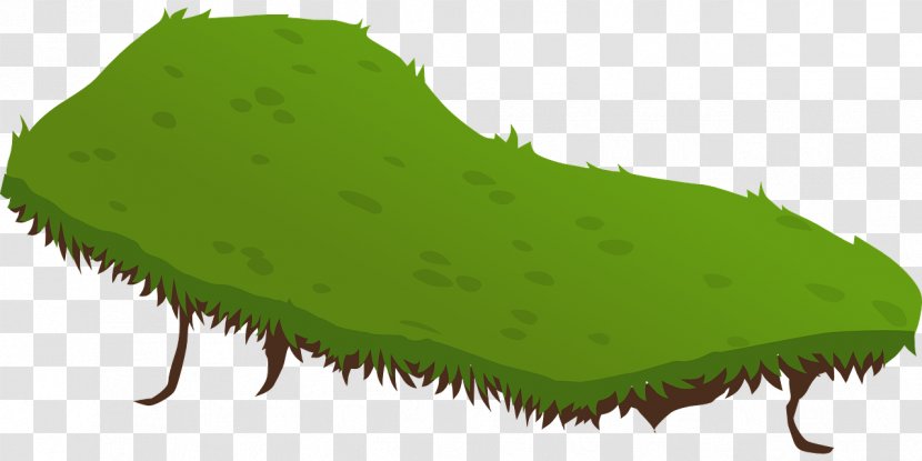 Land - Guayas - Grass Transparent PNG