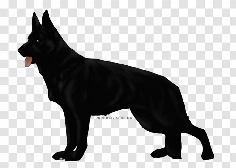 German Shepherd Kunming Wolfdog Schipperke Australian Kelpie Golden Retriever - Vulnerable Native Breeds - Dog Eyes Transparent PNG