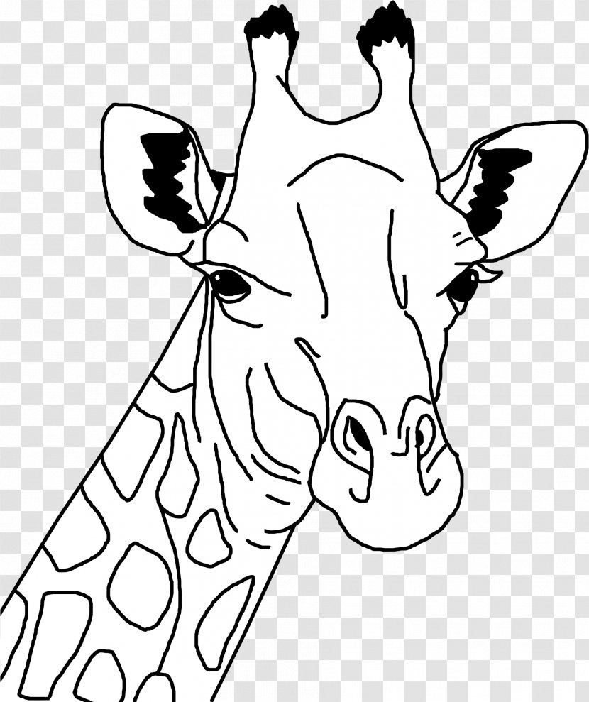 Drawing Coloring Book Sketch - Horse Like Mammal - Organism Transparent PNG