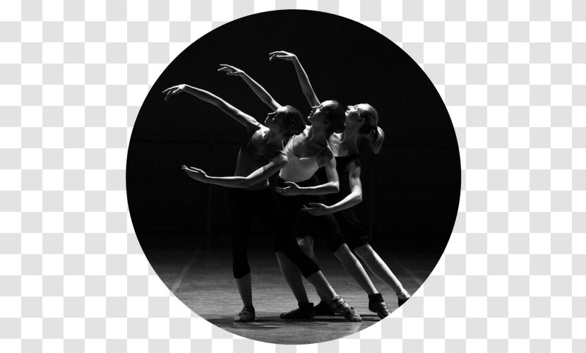 FLOW Espacio Vivo Dance Ballet Performing Arts - Tree - Frame Transparent PNG