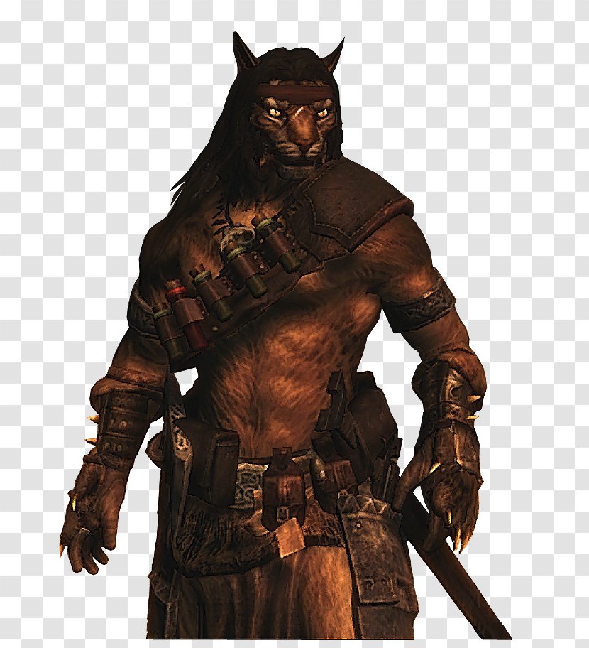 The Elder Scrolls V: Skyrim Dungeons & Dragons Pathfinder Roleplaying Game Role-playing Player Character - Werewolf Kill Transparent PNG