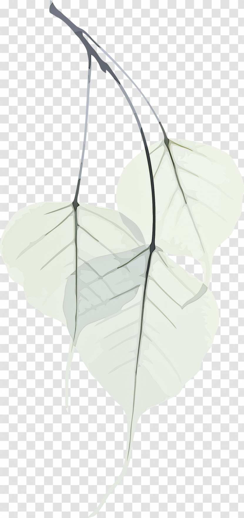 Bodhi Leaf Bodhi Day Bodhi Transparent PNG