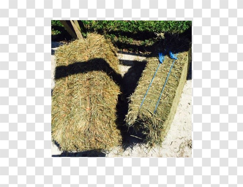 Hay Straw Baler Hampton Roads Grasses - Bale Transparent PNG
