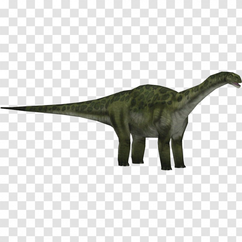Jurassic Park: Operation Genesis Zoo Tycoon 2 Park III: Builder Camarasaurus Tyrannosaurus - Iii Transparent PNG