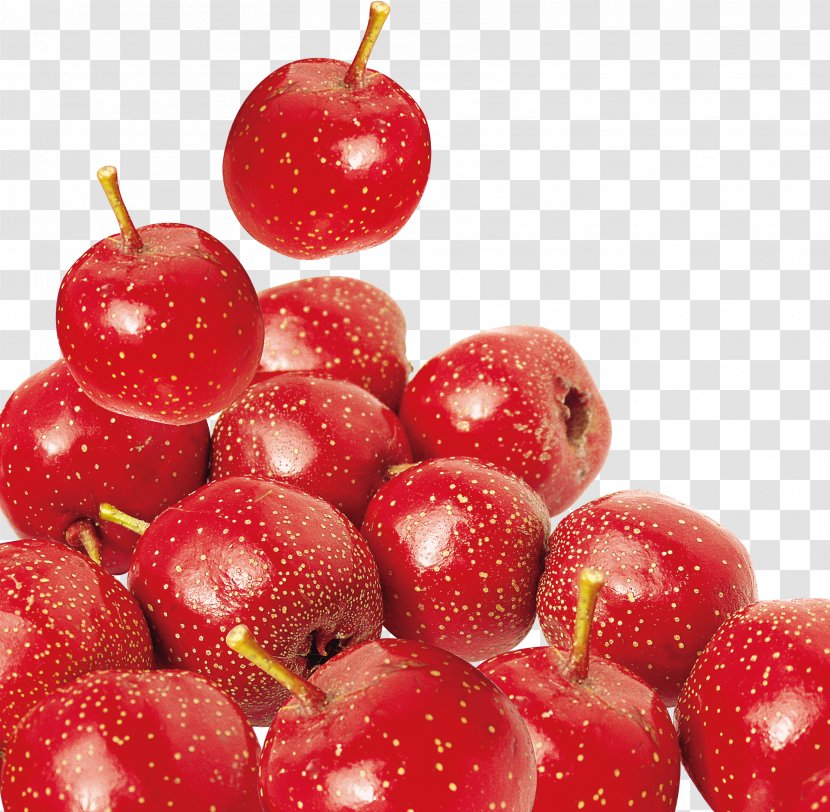 Haw Flakes Hawthorn Chenpi Food Eating - Flower - Cherry Transparent PNG