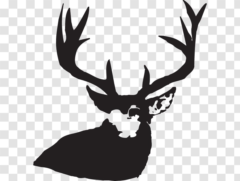 Reindeer Cartoon - Decal - Drawing Tail Transparent PNG
