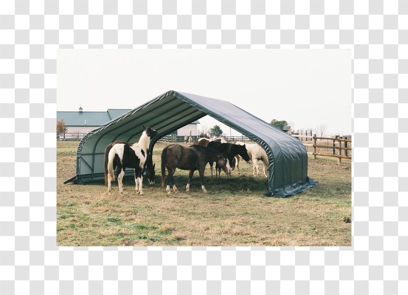 Horse Shed Shelter Garage Canopy - Logic Garageinabox - High Grade Shading Transparent PNG