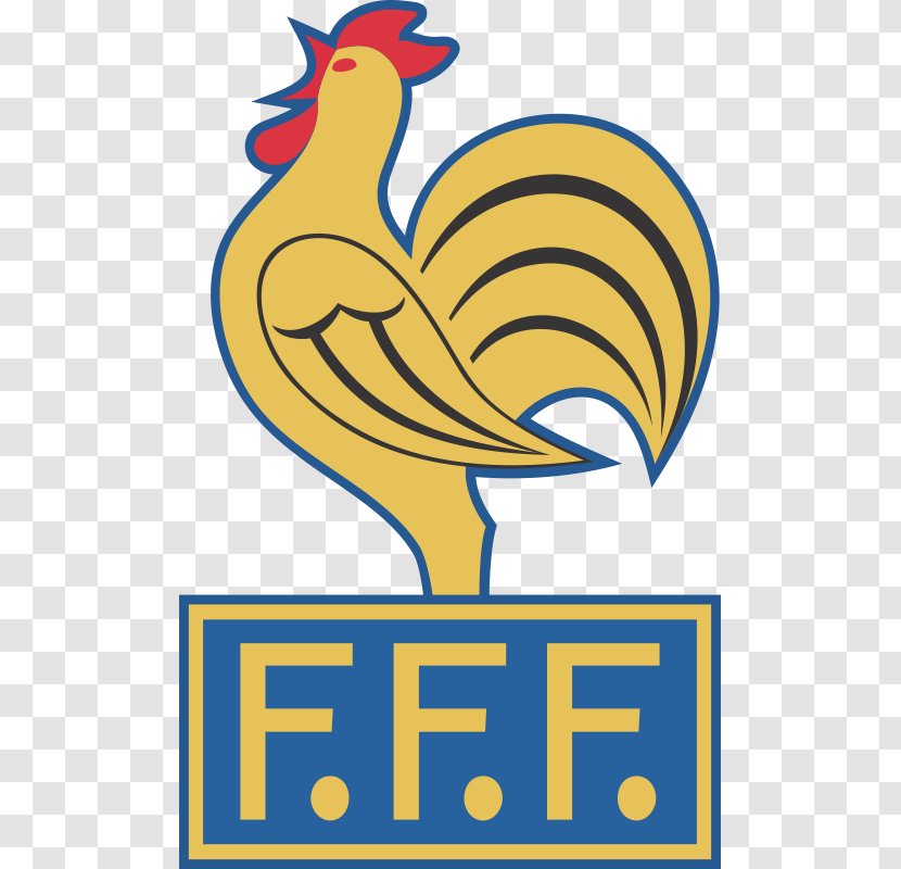 France National Football Team 1998 FIFA World Cup Player - Bird Transparent PNG