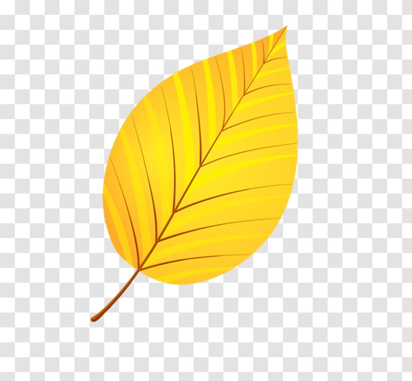Leaflet Yellow Clip Art - Leaf Transparent PNG
