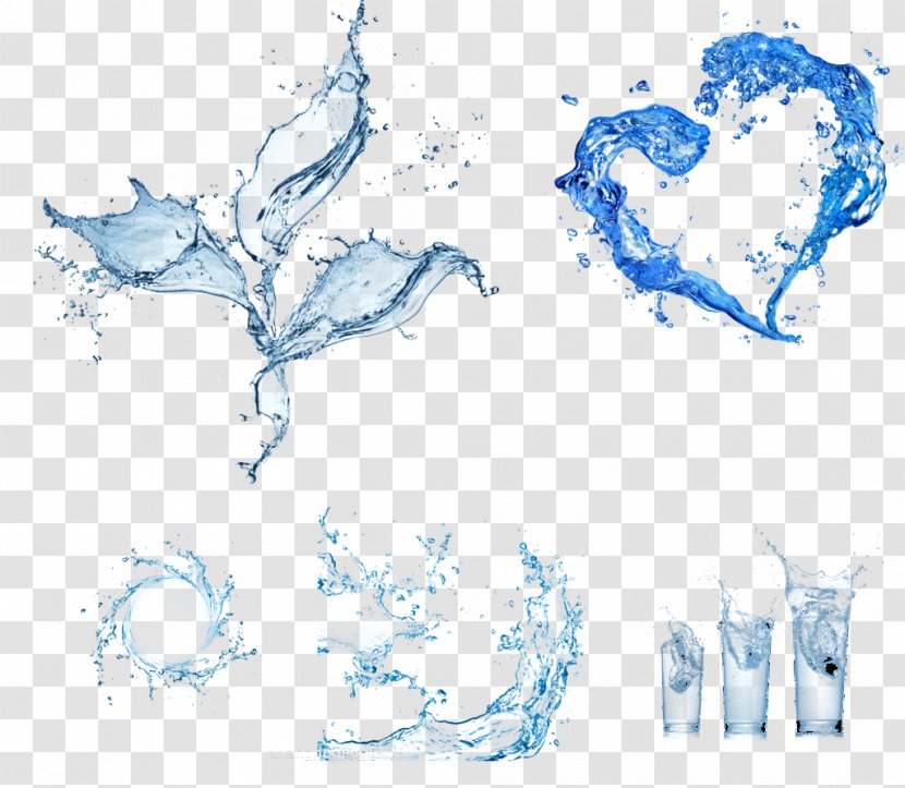 Drinking Water Ionizer Drop Stock Photography - Organism - Droplets Element Transparent PNG