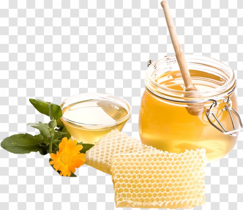 Honey Bliss Nails Station Landing Bee Transparent PNG