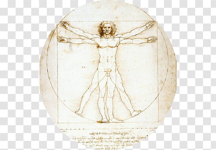 Vitruvian Man Renaissance Codex Madrid Mona Lisa The Last Supper - Vitruvius - Leonardo Da Vinci Transparent PNG