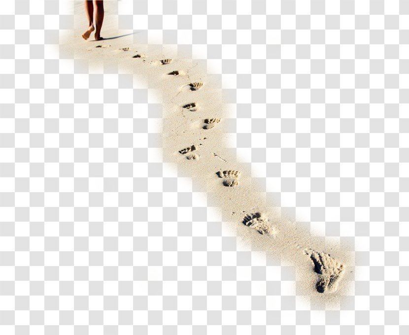 Clearwater On The Beach - Sand - Walking Forward Footprints Transparent PNG