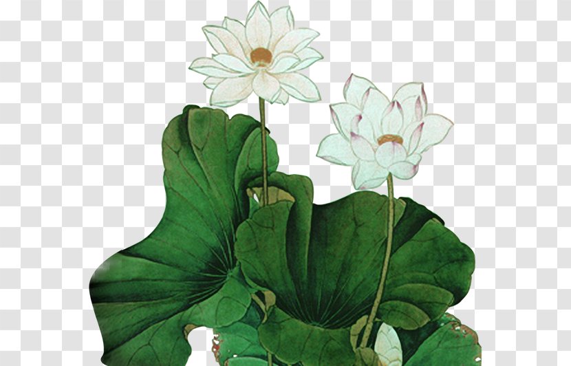 Chinese Painting Nelumbo Nucifera Ink Wash Yixing Clay Teapot - Splash - Lotus Leaf Transparent PNG