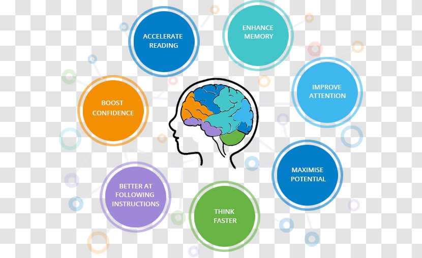 Learning Brain Cognitive Training Education - Neuroimaging - Quick Processing Transparent PNG