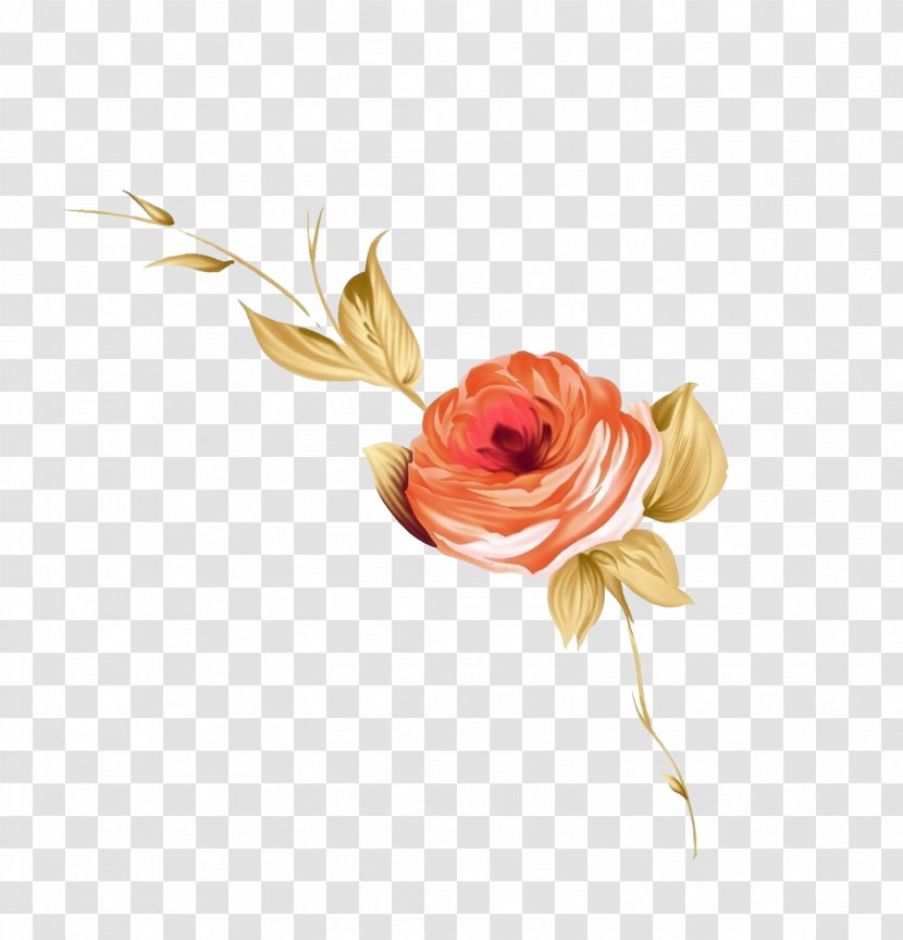 Flower Beach Rose Rosa Chinensis Illustration - Floristry Transparent PNG