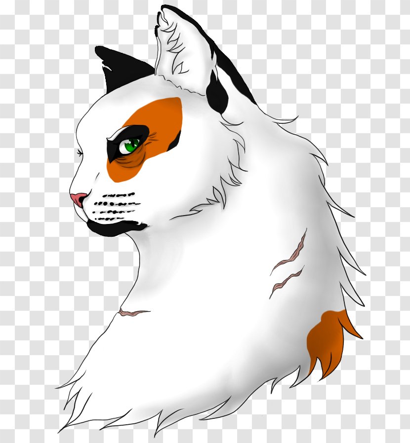 Whiskers Cat Felidae Dog Mammal - Like Transparent PNG