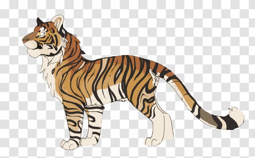 Cat Siberian Tiger Drawing - Vector Cartoon Transparent PNG
