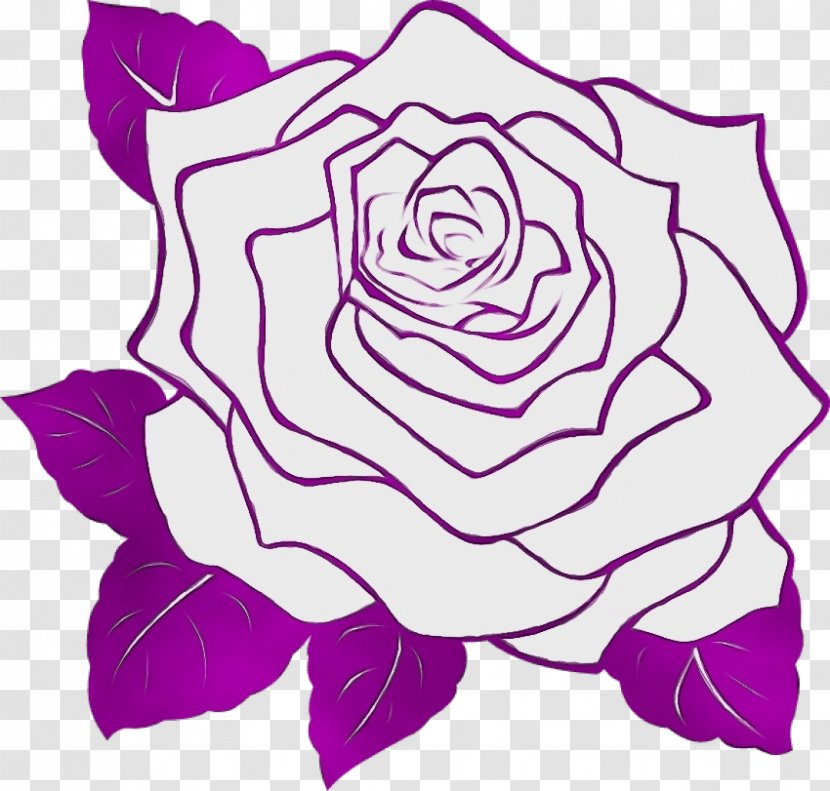 Garden Roses - Watercolor - Rose Family Flower Transparent PNG