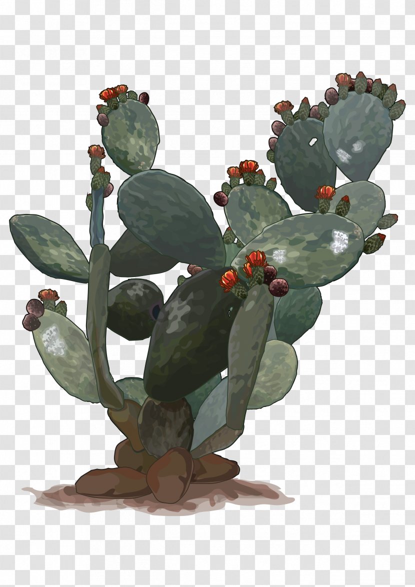 Barbary Fig Teide Echium Wildpretii Education Government Of The Canary Islands - Flora - Cactus Transparent PNG