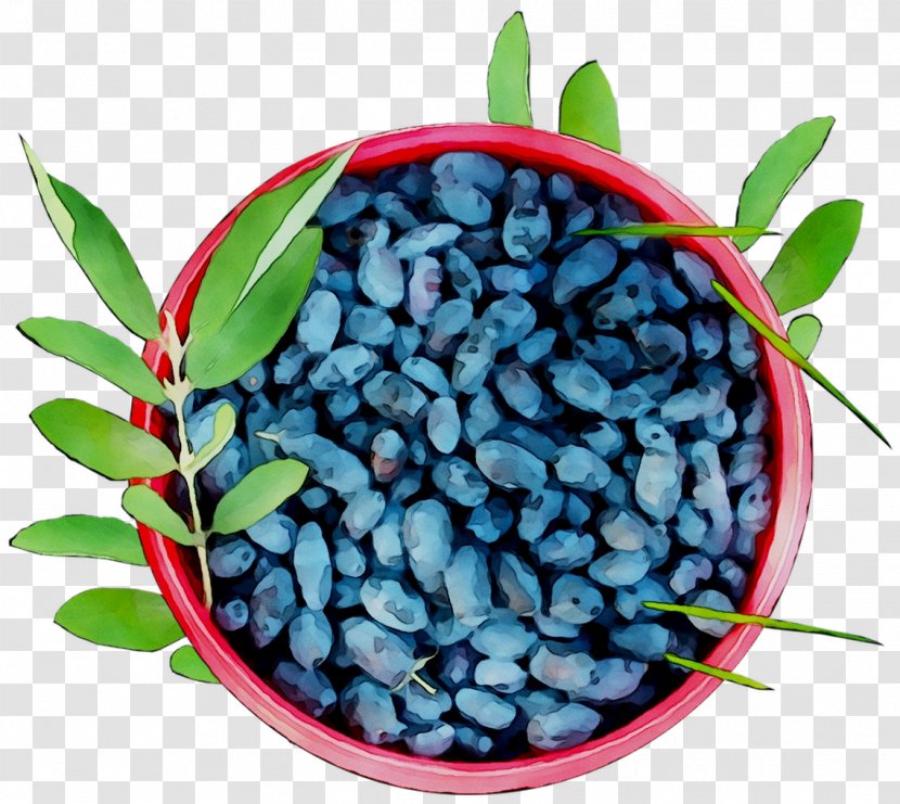 Bilberry Blueberry - Superfruit Transparent PNG