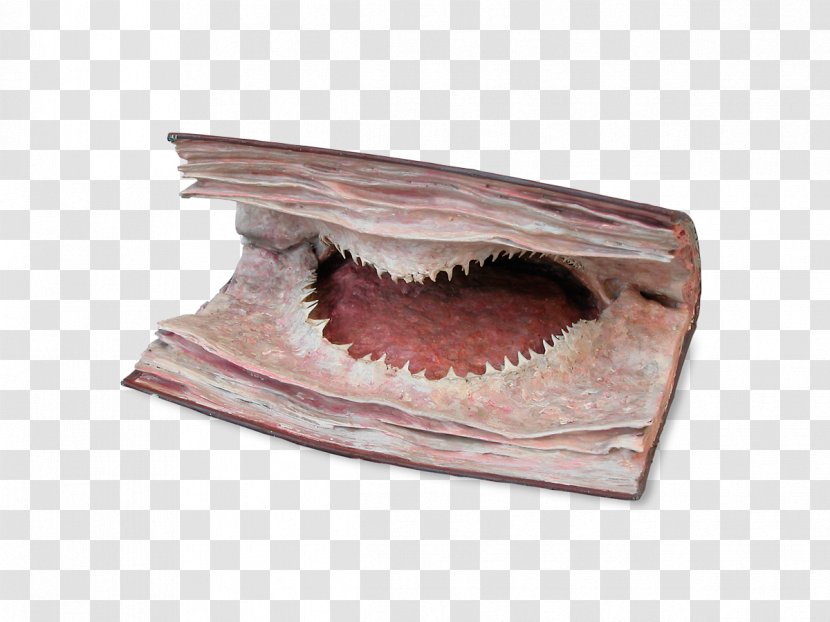 Jaw - Mouth Transparent PNG